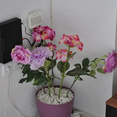 Apartamento Playa Sanjuan Alicante